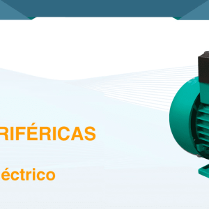Bombas Periféricas con Motor Eléctrico (BE)